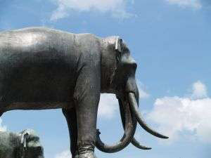 متحف الفيل الملكي التايلاندي