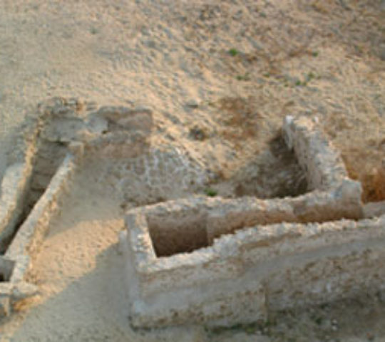 Ain Umm Al-Sajur Site