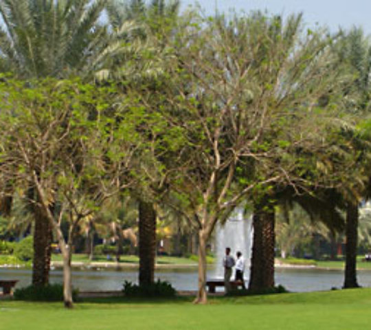Khalidiya Public Garden