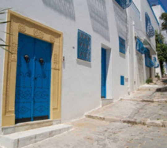 The best of Tunis- Culture and History tour in Tunis
