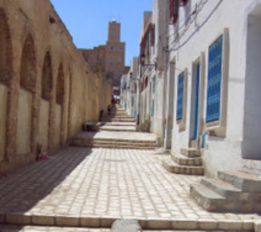 Tunis City Orientation Walking Tour