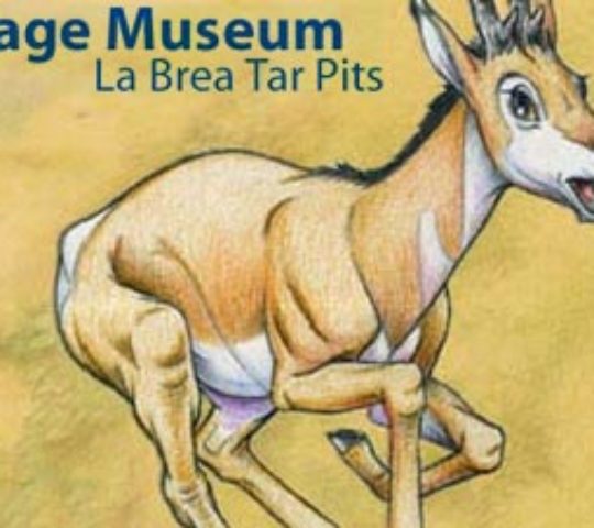 La Brea Tar Pits & Page Museum